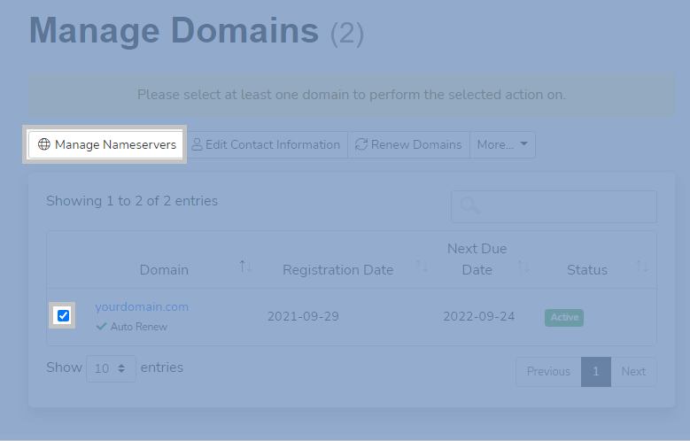 zzhosting client manage domains